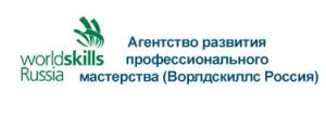 WorldSkills