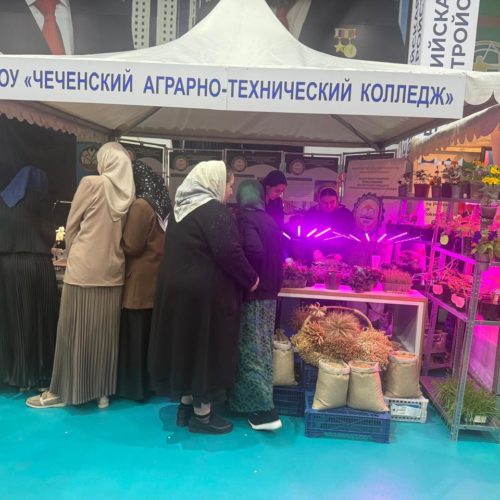 Чеченский аграрно-технический колледж принял участие во Всероссийской ярмарке по трудоустройству